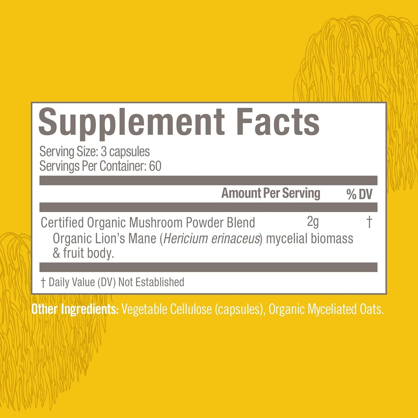 OM Mushroom Superfood Capsule Bundle - Master Blend & Lion's Mane, 340 Capsules