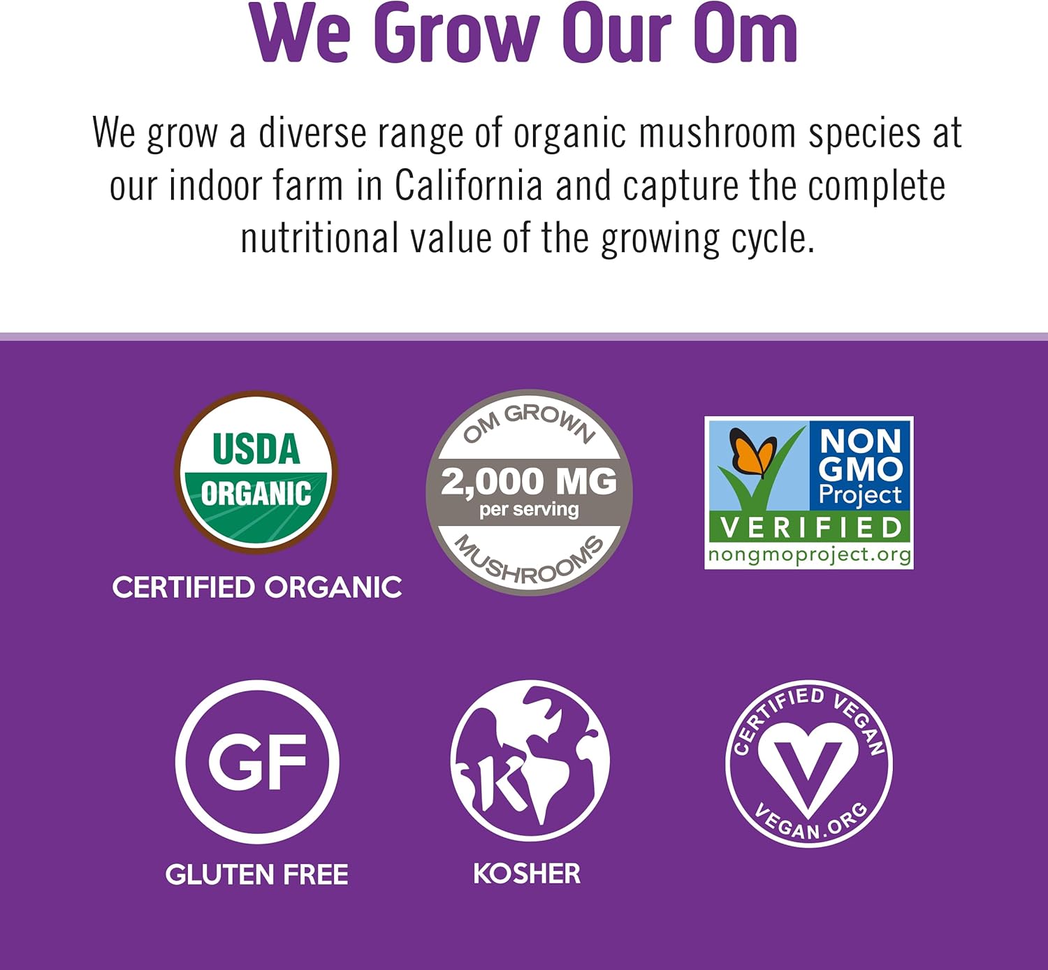 OM Mushroom Superfood Master Blend Capsule & Hot Chocolate Powder Combo Pack