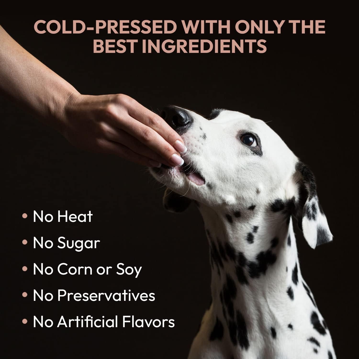 Omega 3-6-9 Dog Skin and Coat Supplement Soft Chews with Fish Oil for Healthy Coat, Itchy Skin Relief - 120 Count