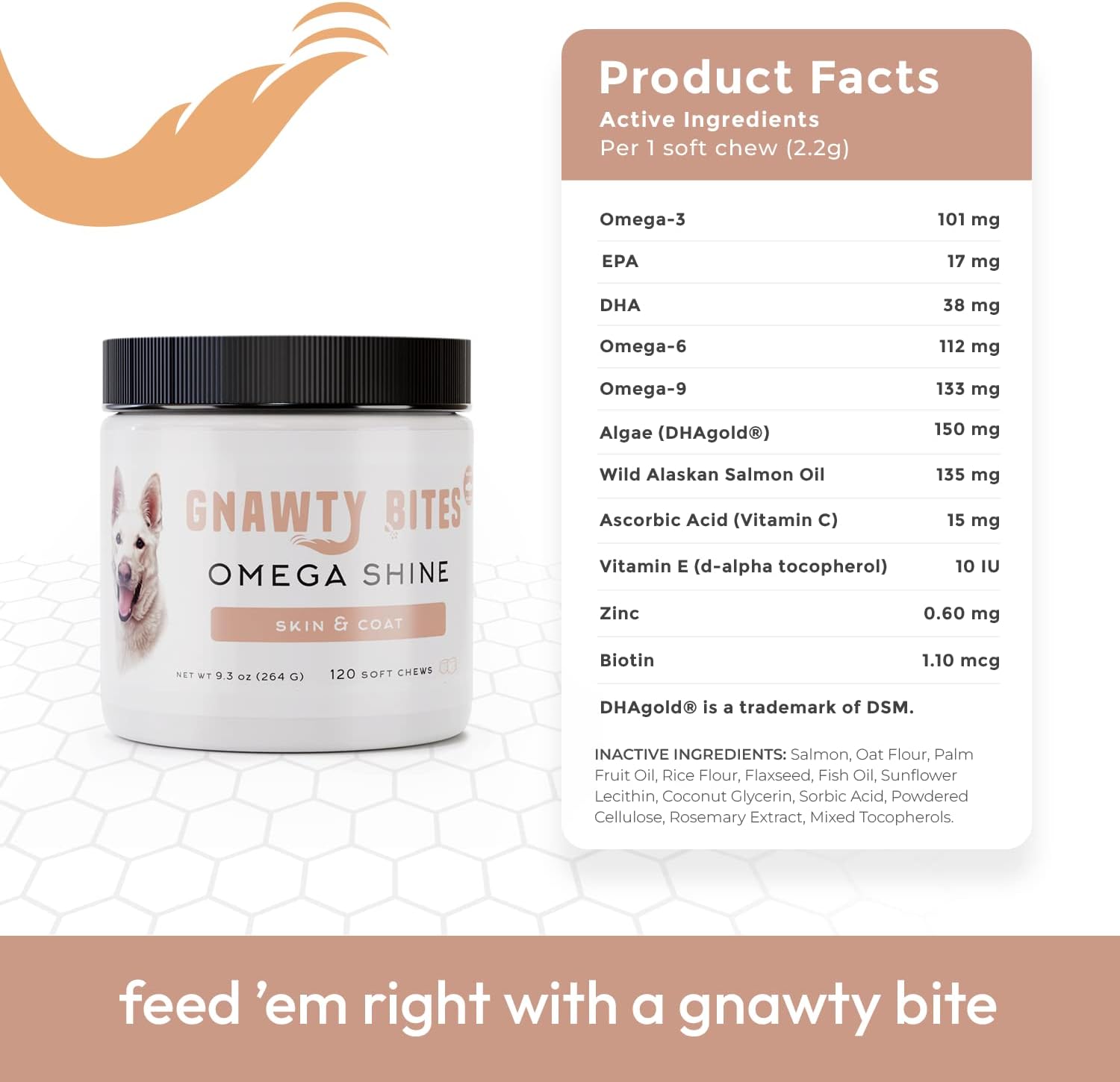 Omega 3-6-9 Dog Skin and Coat Supplement Soft Chews with Fish Oil for Healthy Coat, Itchy Skin Relief - 120 Count