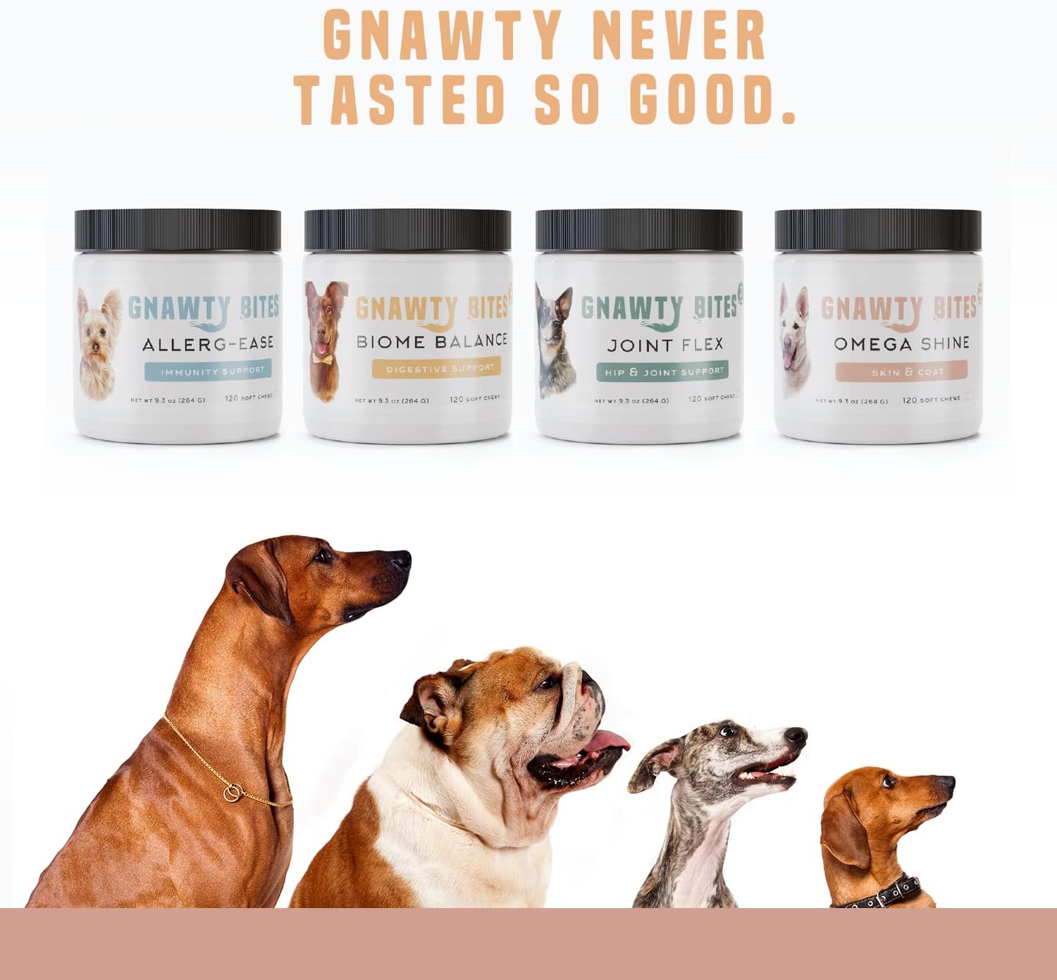 Omega 3-6-9 Dog Skin and Coat Supplement Soft Chews with Fish Oil for Healthy Coat, Itchy Skin Relief - 120 Count