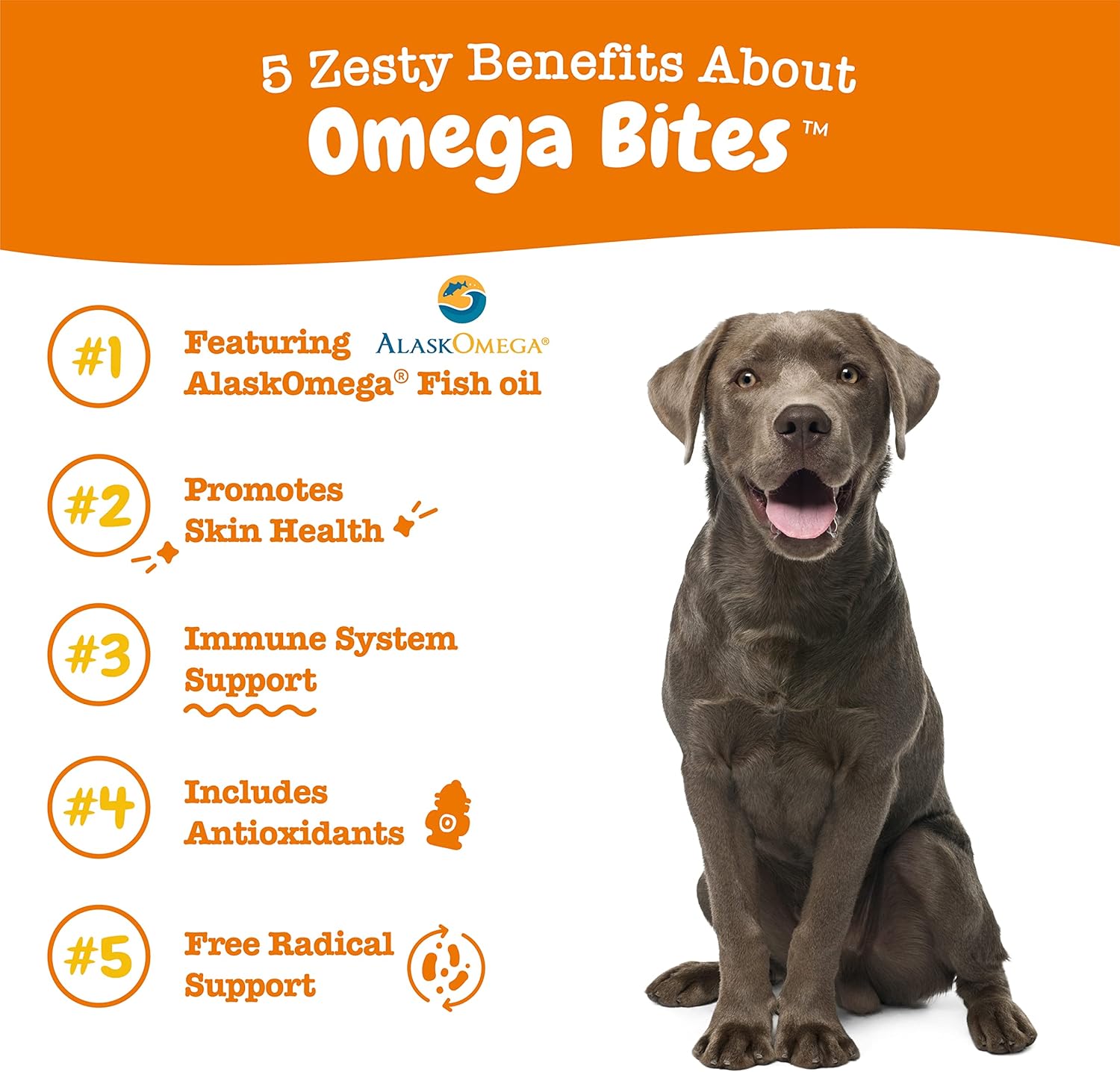 Omega 3 Alaskan Fish Oil Chew Treats for Dogs - AlaskOmega with EPA & DHA Fatty Acids - Hip & Joint Support + Skin & Coat - Chicken Flavor (90 Soft Chews)