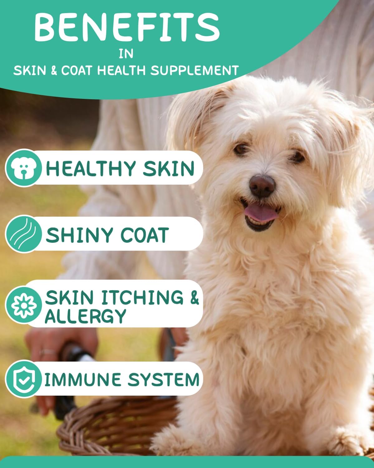 Omega 3 Dog Skin and Coat Supplement with EPA & DHA Fatty Acids - Itchy Skin Relief - Chicken Flavor, 120 Chews