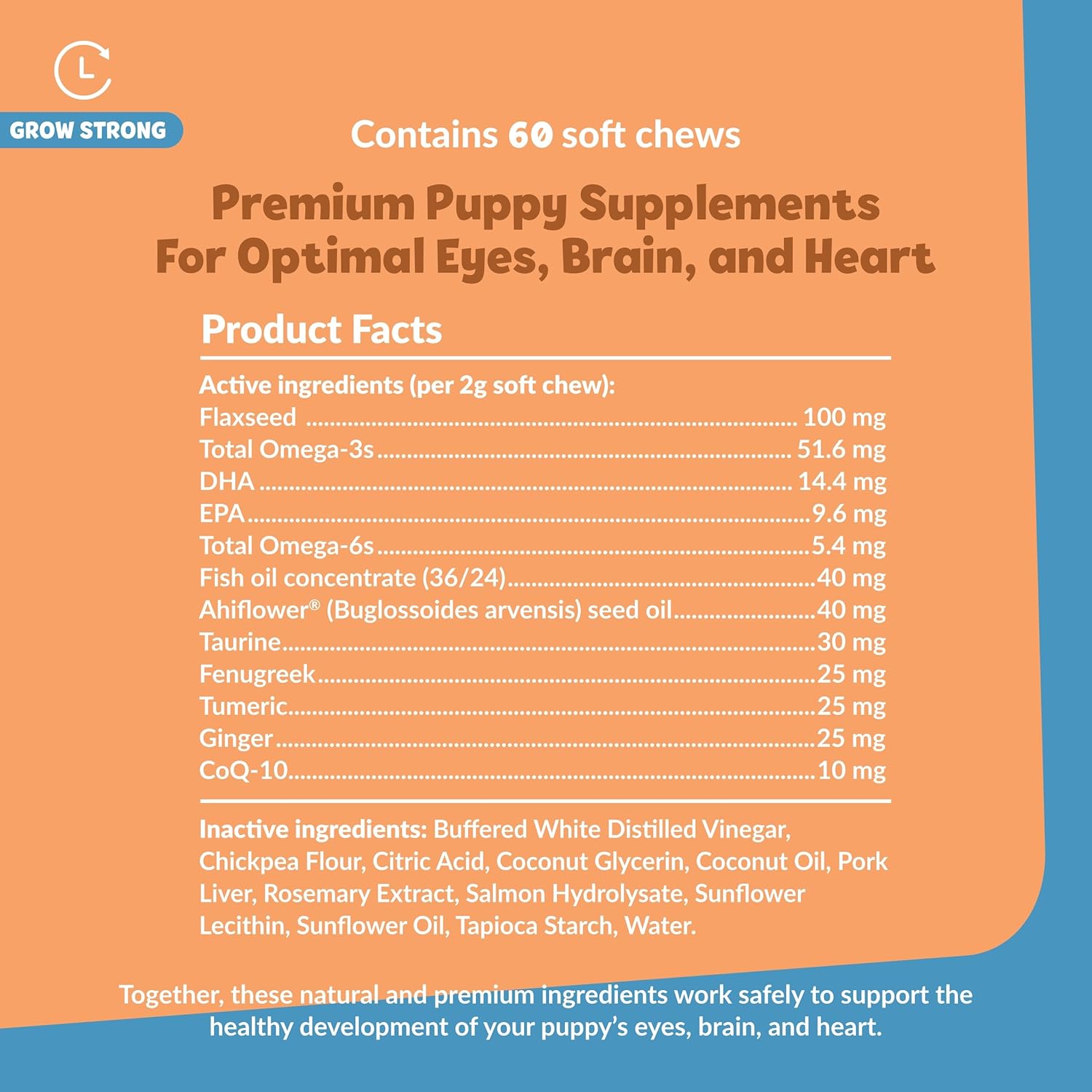 Omega 3 Dog Supplement Soft Chews for Overall Health - Fish Oil Treats for Dogs - 60 Count