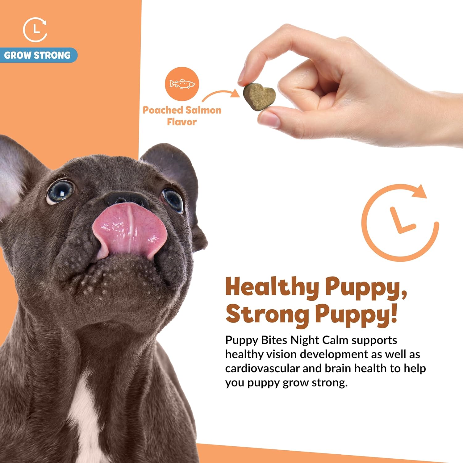 Omega 3 Dog Supplement Soft Chews for Overall Health - Fish Oil Treats for Dogs - 60 Count