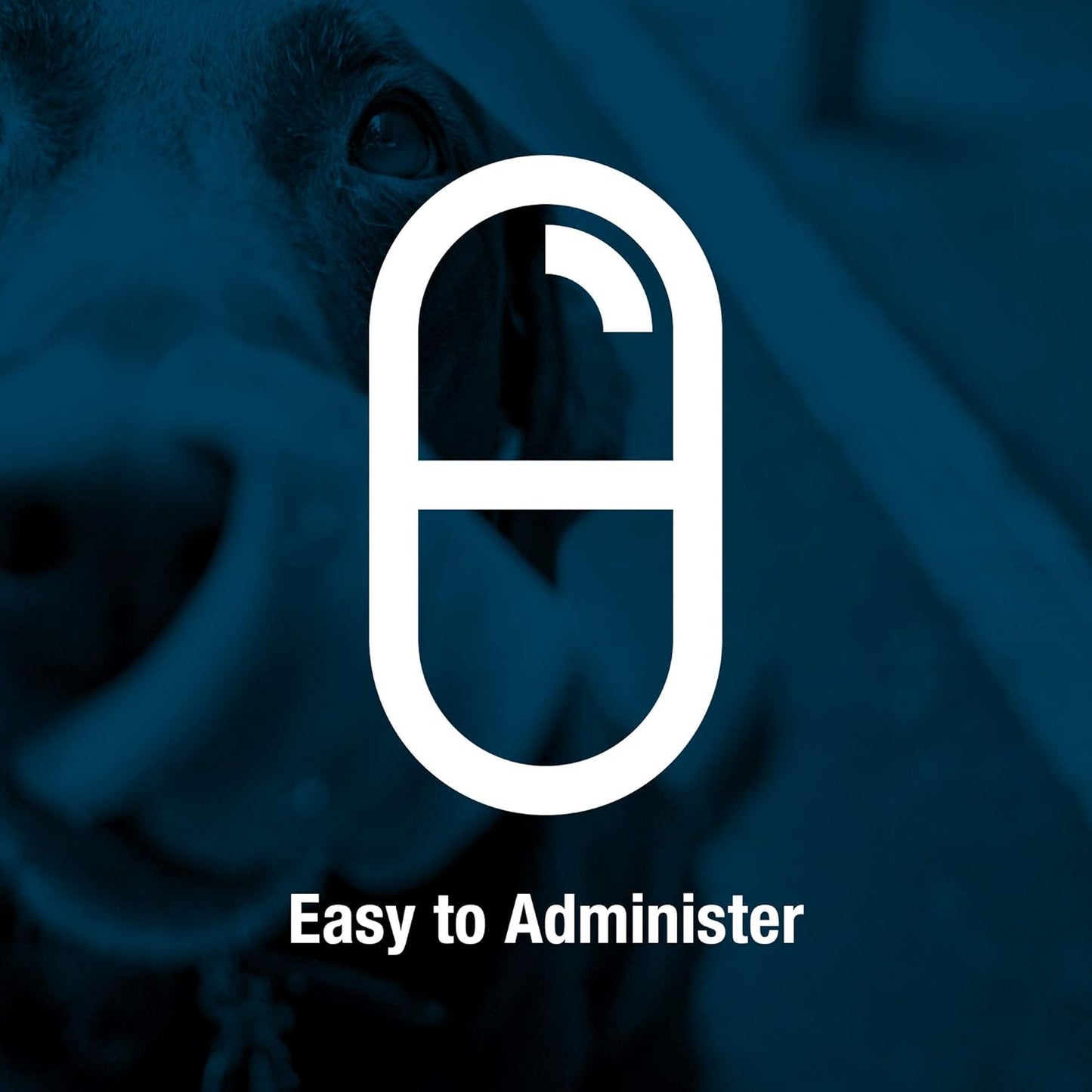 Omega 3 Fatty Acid Supplement for Large Dogs | Supports Immune & Joint Health | Promotes Healthy Skin & Coats | 60 Softgels