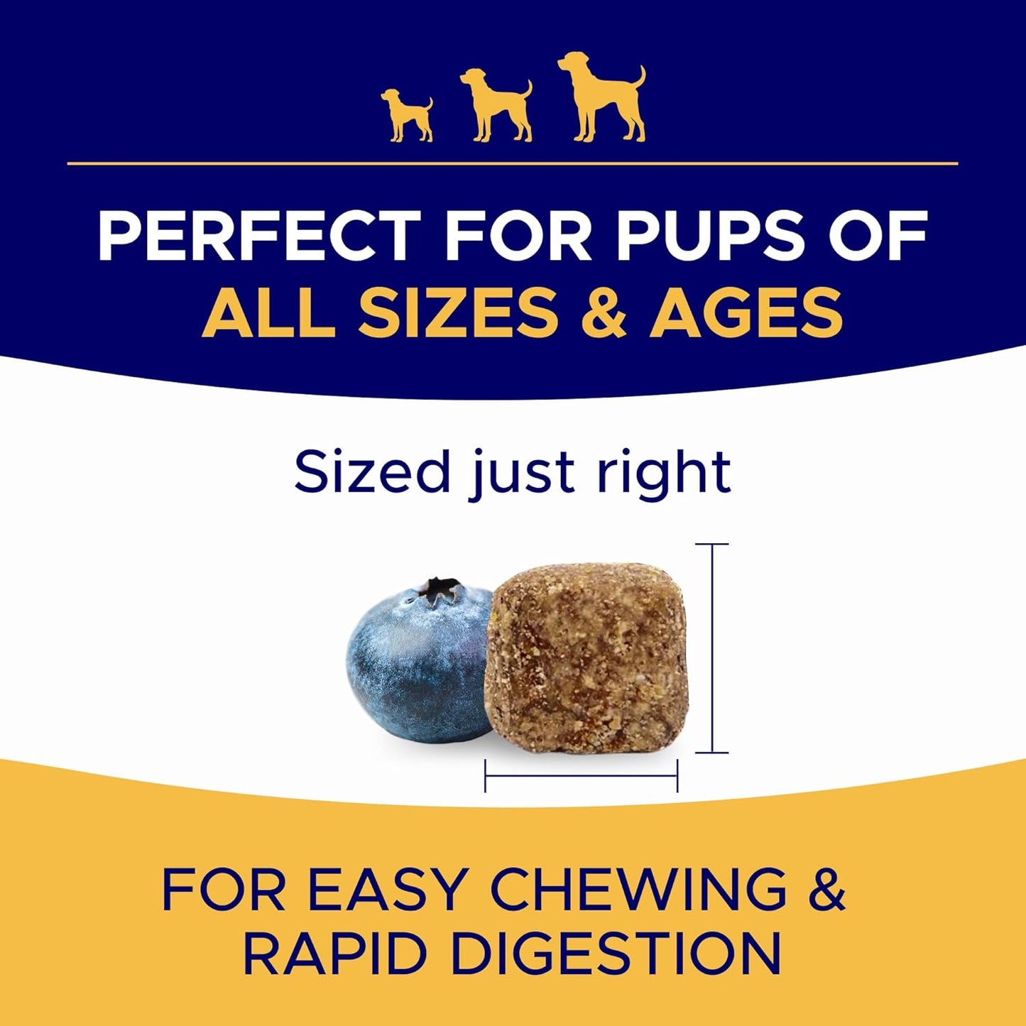 Omega 3 Fish Oil Chews for Dogs (180 Ct) - Skin & Coat Relief - Allergy & Itch Support - Healthy Hearts, Hips & Joints - Natural Salmon Oil Formula