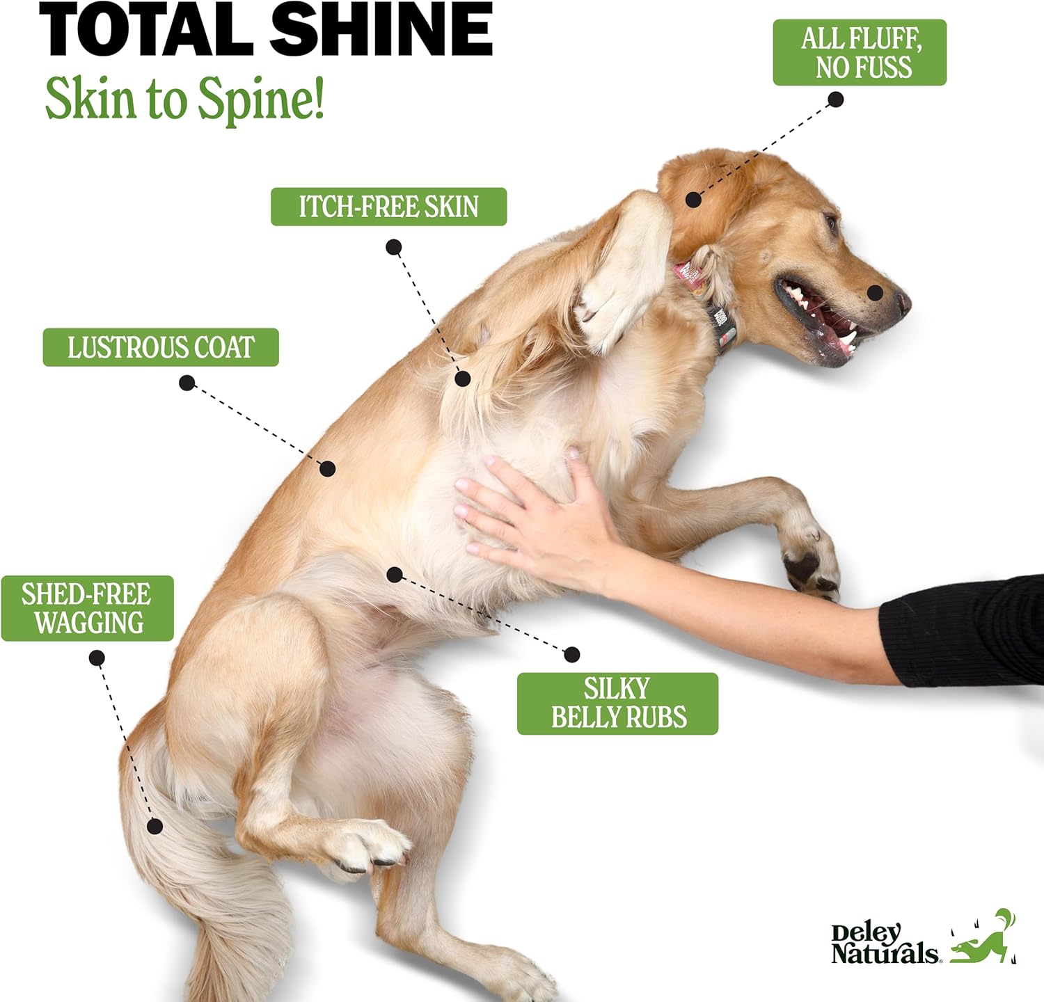 Omega 3 Fish Oil Dog Allergy Chews with DHA & EPA, Biotin, Collagen, Vitamins C, E, & Zinc - Salmon Flavor for Shiny Coat & Itching Relief - Dry Skin Relief for Dogs by Deley Naturals