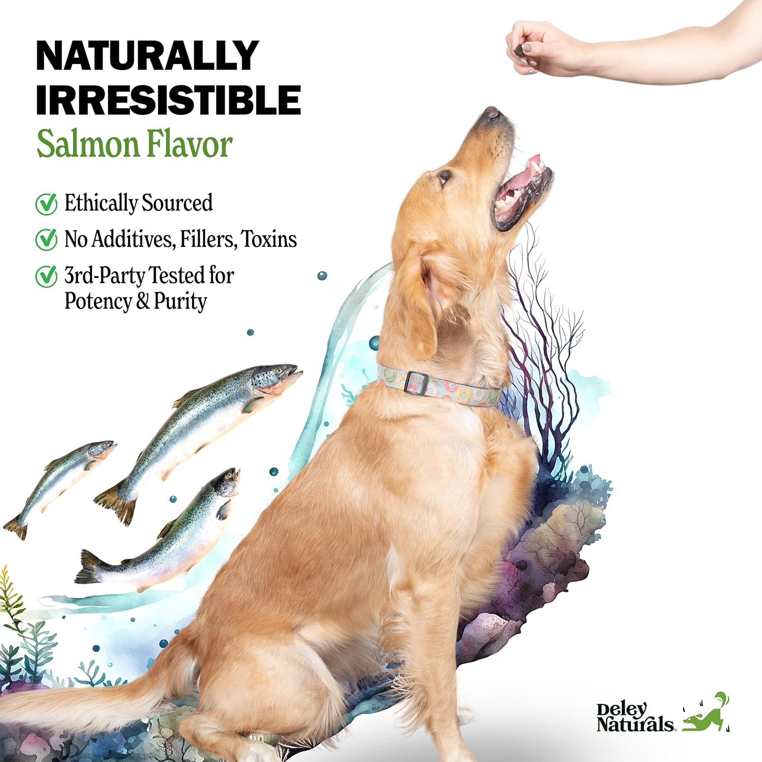 Omega 3 Fish Oil Dog Allergy Chews with DHA & EPA, Biotin, Collagen, Vitamins C, E, & Zinc - Salmon Flavor for Shiny Coat & Itching Relief - Dry Skin Relief for Dogs by Deley Naturals