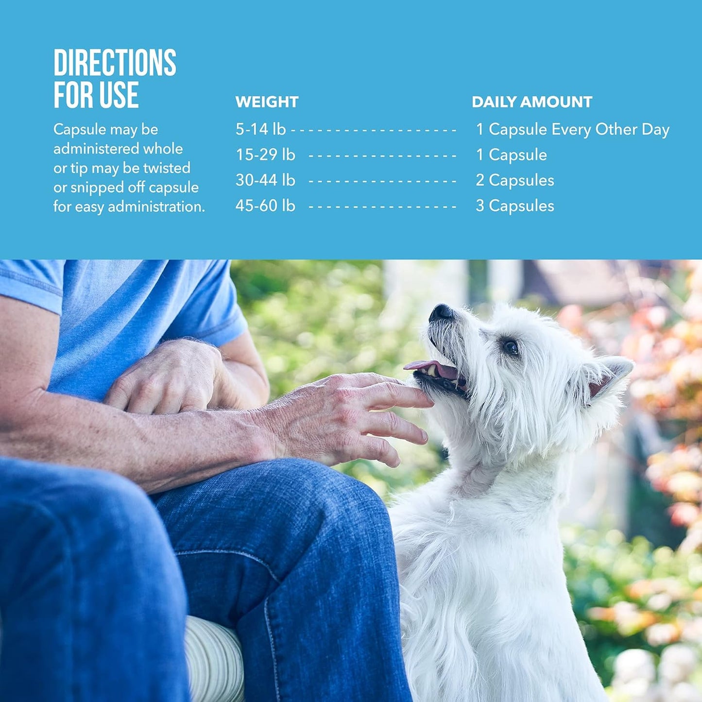 Omega-3 Fish Oil Liquid Supplement for Medium & Large Dogs - 60 Count, Free Form Snip Tips