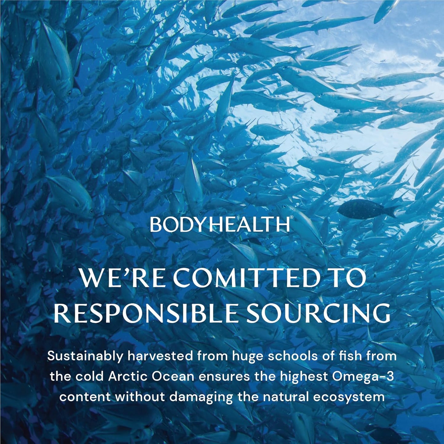 Omega 3 Fish Oil Supplement for Heart & Brain Health - 120 Soft Gels for Men & Women, Fatty Acid Vitamins