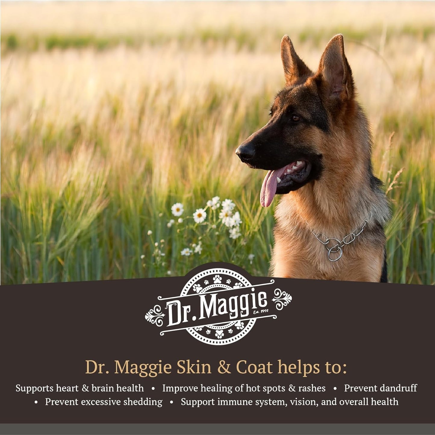 Omega 3 Fish Oil Supplement for Skin and Coat Health | Dr. Maggie | 240 ml