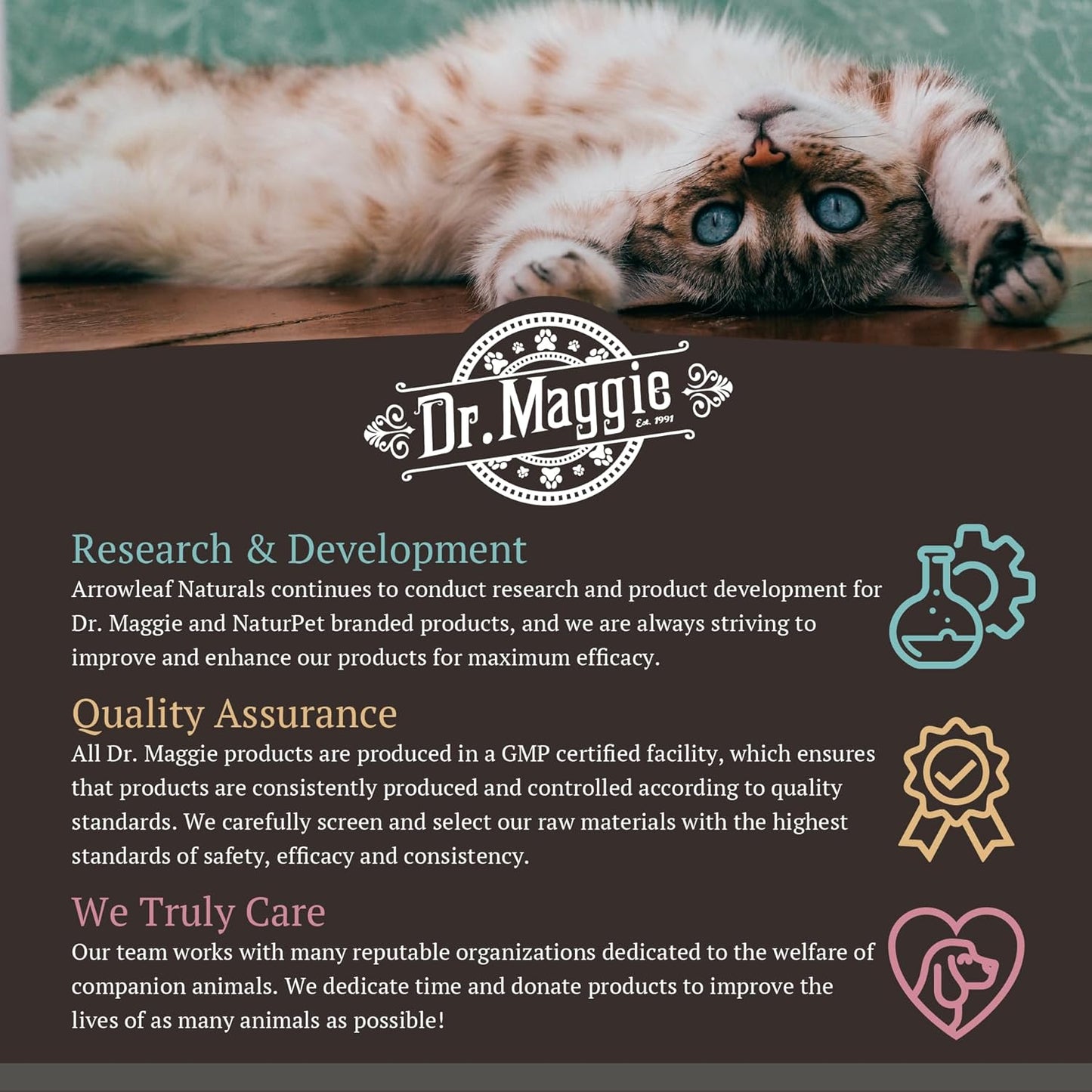 Omega 3 Fish Oil Supplement for Skin and Coat Health | Dr. Maggie | 240 ml