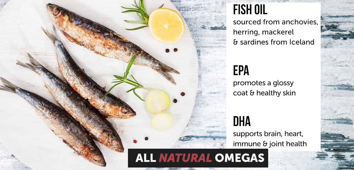 Omega 3 Fish Oil Tablets for Dogs - 180 Count - Promotes Healthy Skin, Coat, and Joints - Salmon and Duck Flavored Supplement