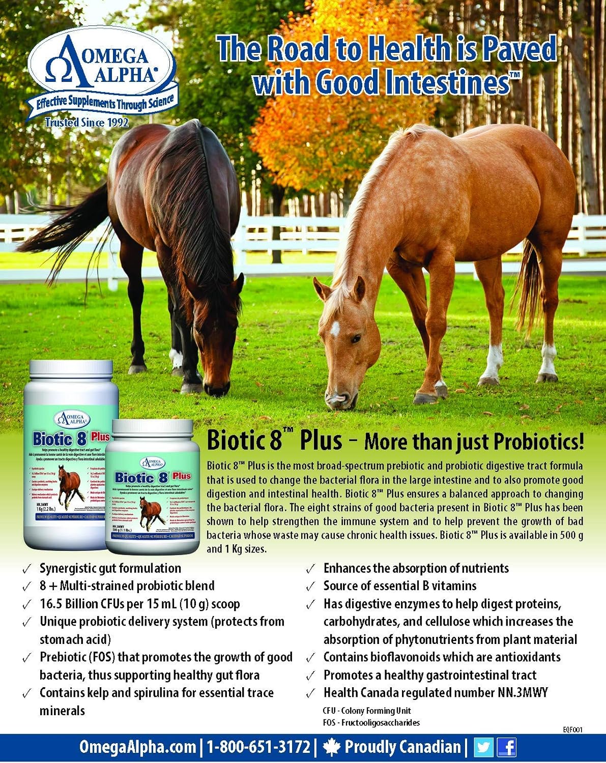 Omega Alpha Biotic 8 Plus Probiotic Supplement - 2.2lb Jar