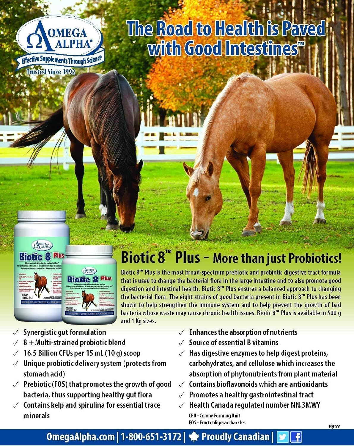 Omega Alpha Biotic 8 Probiotic Supplement 2.2lbs for Equines