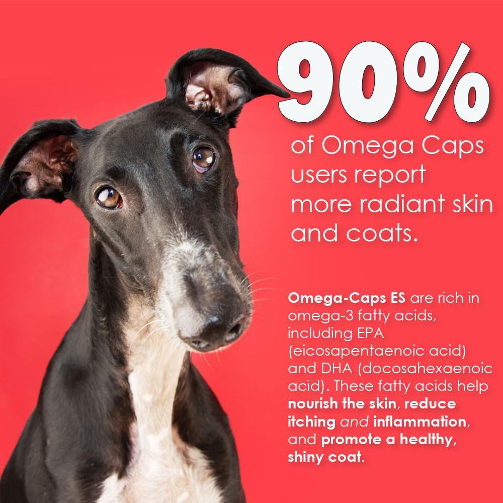 Omega-Caps Extra Strength for Large Breeds: Vet Formulated Skin & Coat Support with Omega 3 - 60 Soft Gels