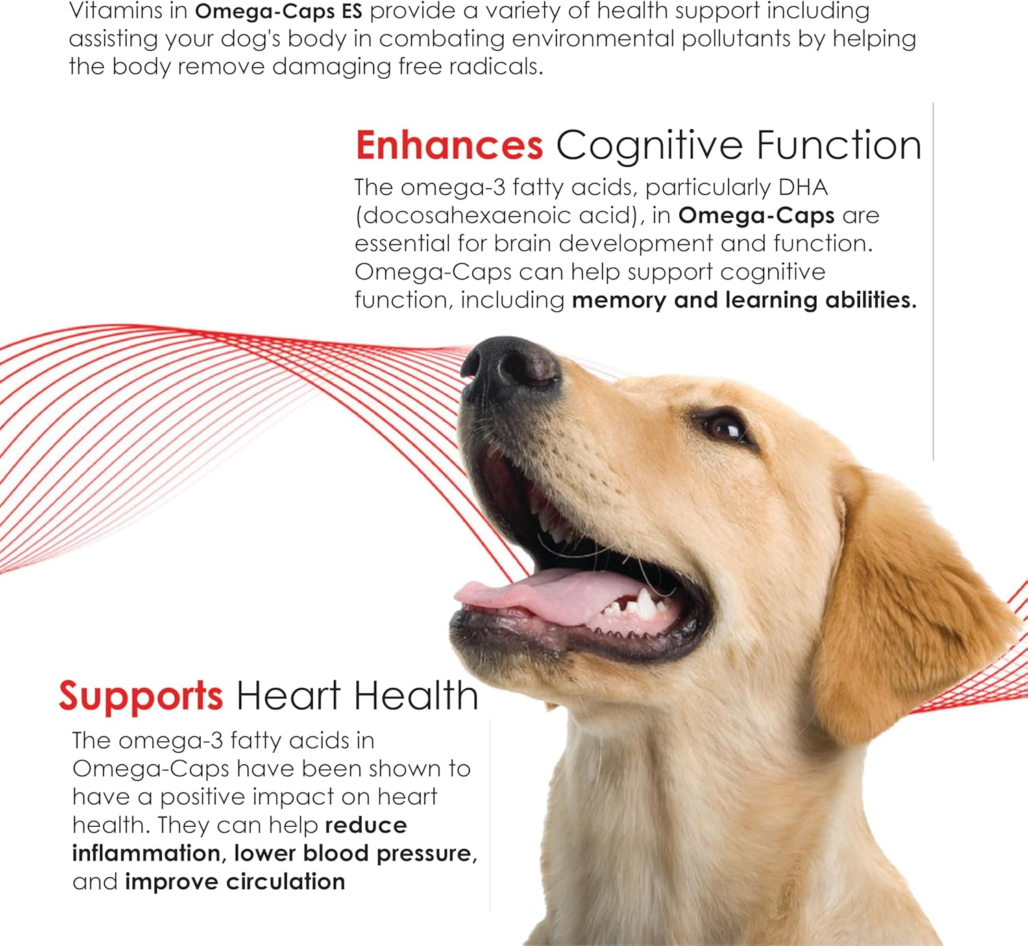 Omega-Caps Extra Strength for Large Breeds: Vet Formulated Skin & Coat Support with Omega 3 - 60 Soft Gels