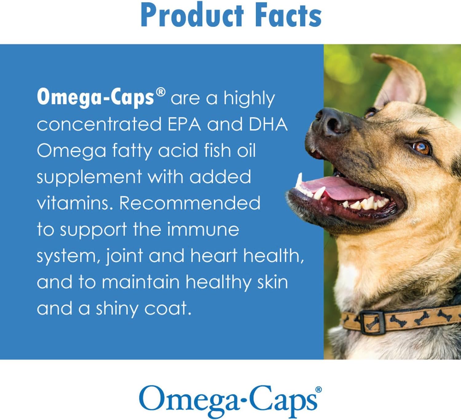 Omega-Caps for Medium Dog Breeds - Supports Immune System, Joints, Heart, and Brain - 60 Softgel Capsules