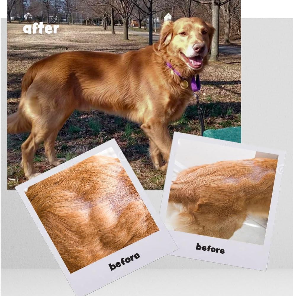 Omega-Caps High Potency Snip Tips for Medium to Large Breeds - 250 CT Soft Gel Capsules with Omega 3 for Healthy Skin & Coat, Joint & Immune Support