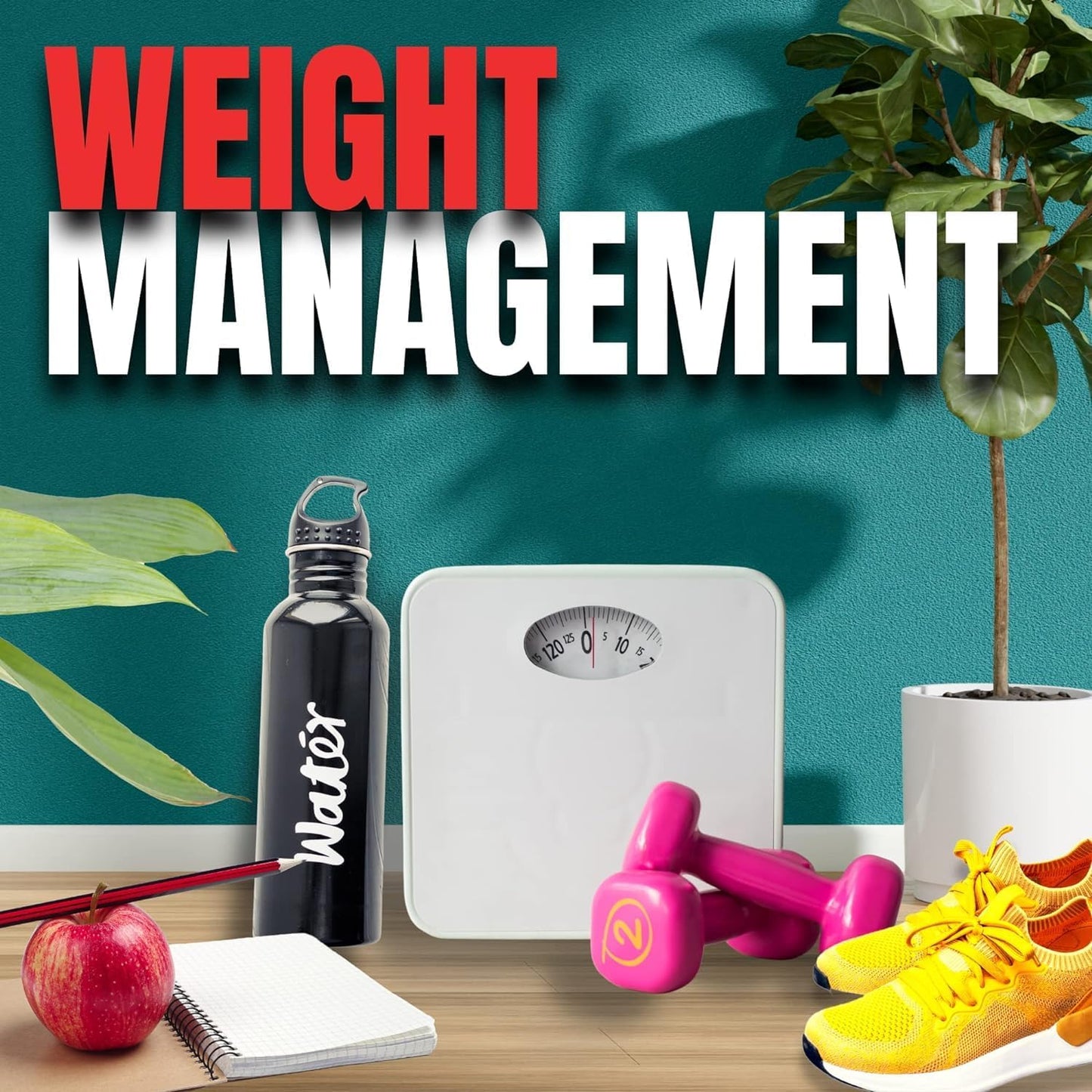 Omni Drop Program Bundle with 4 oz Omni Drops, Vitamin B12, Program Guide, Samples, and Carabiner Tape Measure