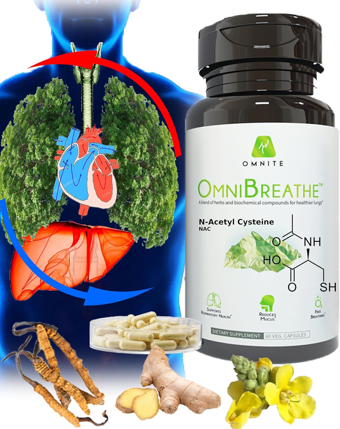OmniBreathe 30-Day Respiratory Wellness Supplement for Smokers - Reduce Cough and Clear Mucus in 24H - Lung Cleanse and Detox with Omnite Asthma Relief - 60 Veg Capsules