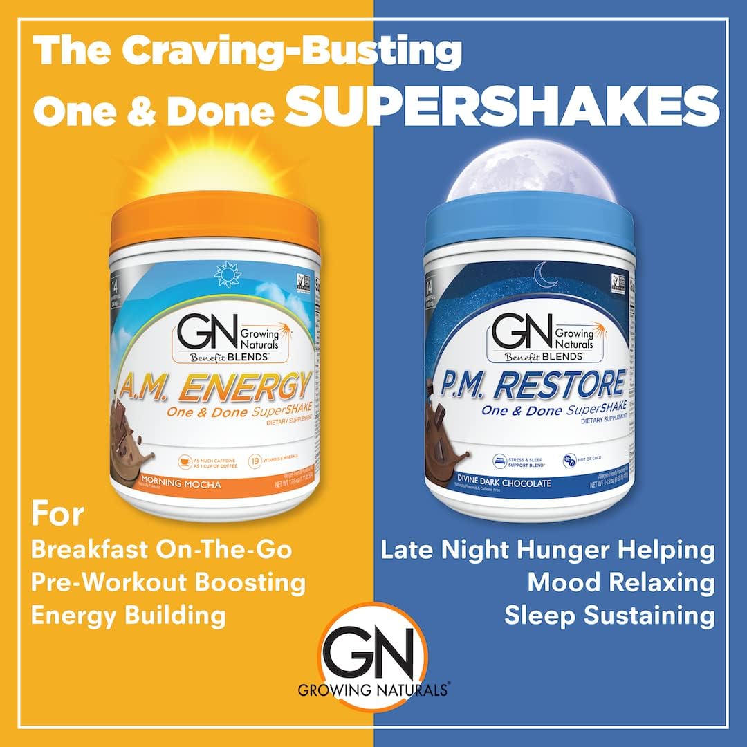One & Done Super Shake Plant Based Protein - 18g Protein, Non-GMO, High Fiber, Gluten Free - A.M. Energy - 1lb Pack