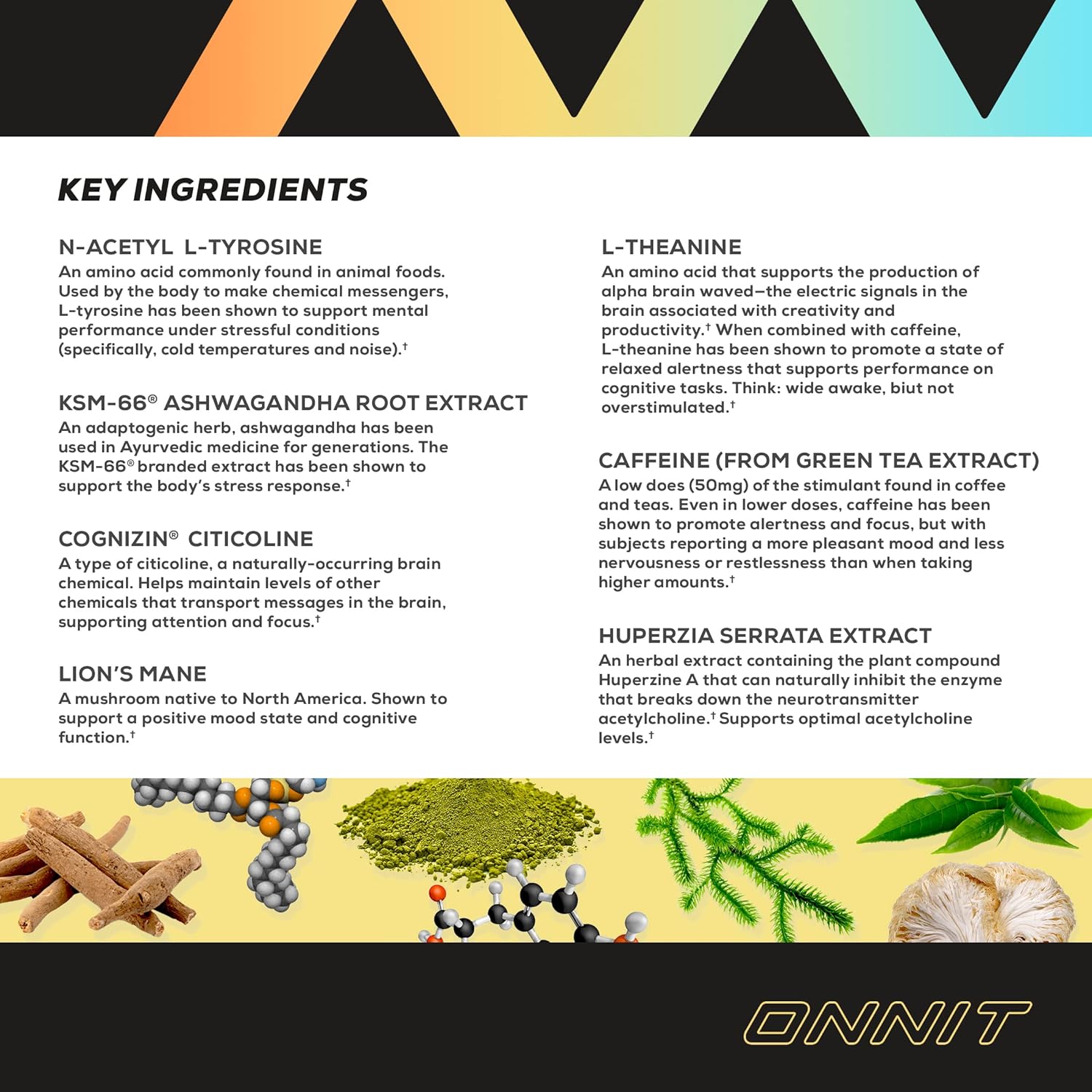 ONNIT Alpha Brain Peach Energy Shot Supplement - Boost Energy, Focus, Mood, Reduce Stress - 6 Pack (2.5 fl oz each)