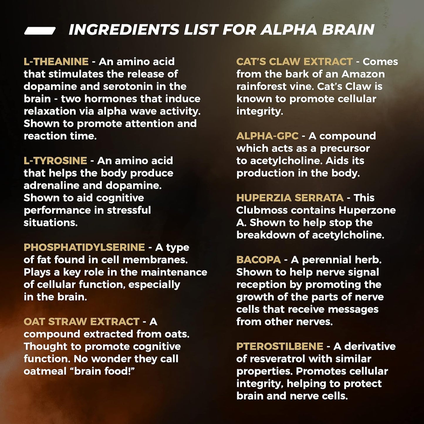 ONNIT Alpha Brain Premium Nootropic Supplement - Caffeine-Free Focus Capsules for Men & Women - Memory Support with Cat's Claw, Bacopa, Oat Straw - 90ct 3-Pack