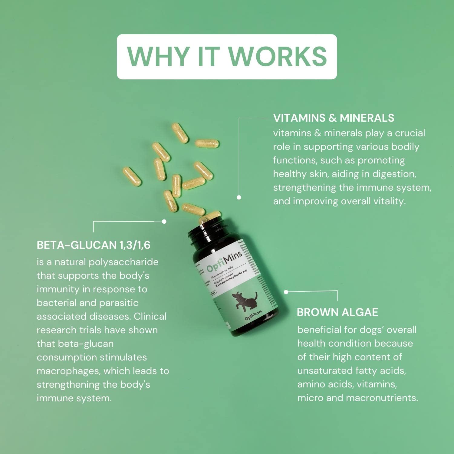 OptiPaws OptiMins Dog Vitamin Capsules - Essential Nutrients for Health - Vitality & Immune Support - Multivitamin, Amino Acids, and Minerals for Skin, Digestion, and Heart Health