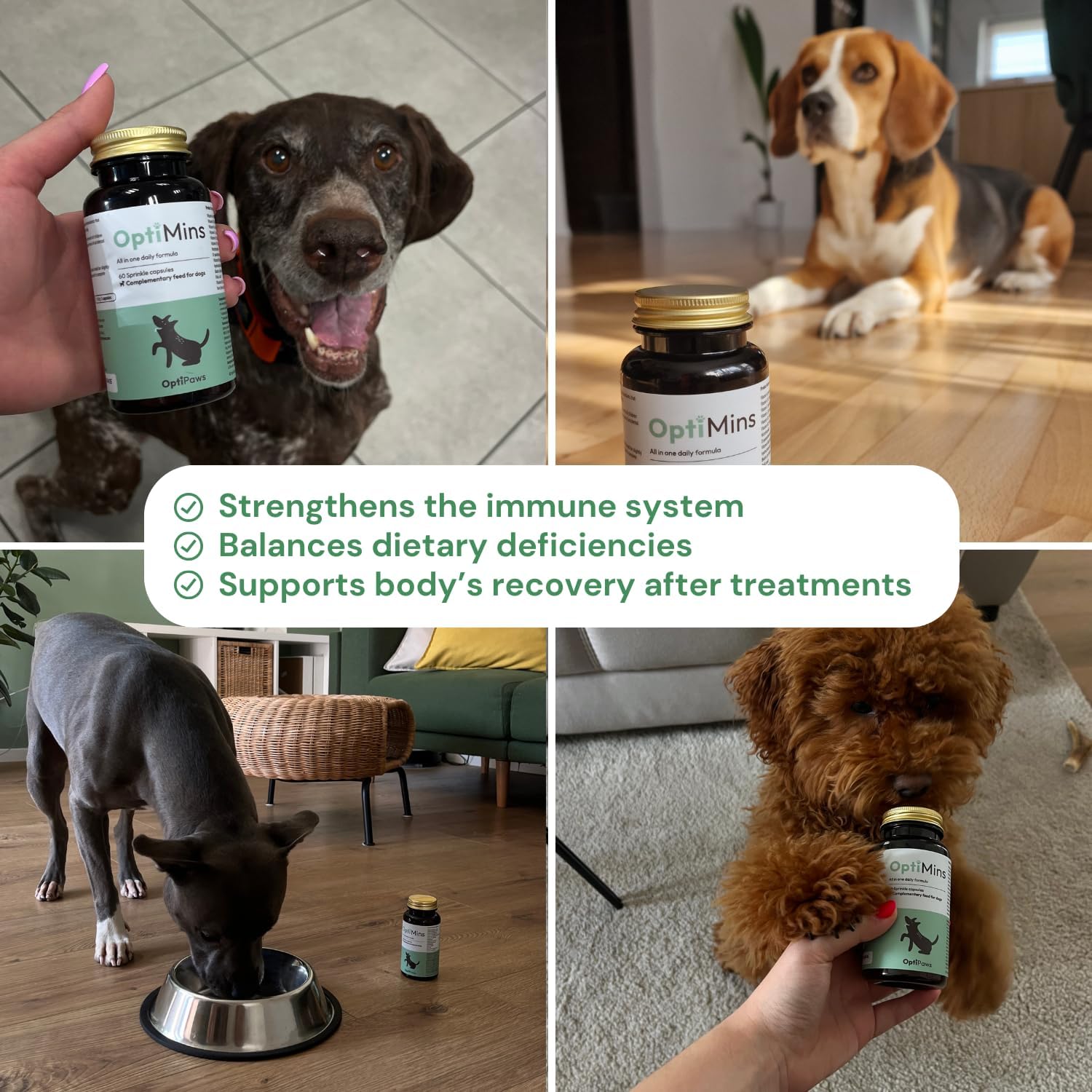 OptiPaws OptiMins Dog Vitamin Capsules - Essential Nutrients for Health - Vitality & Immune Support - Multivitamin, Amino Acids, and Minerals for Skin, Digestion, and Heart Health