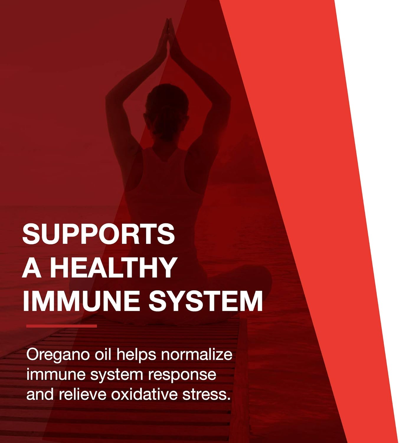 Oregano Oil Softgels with Ginger and Fennel Oil for Intestinal Support - 90 ct - Dairy and Egg Free