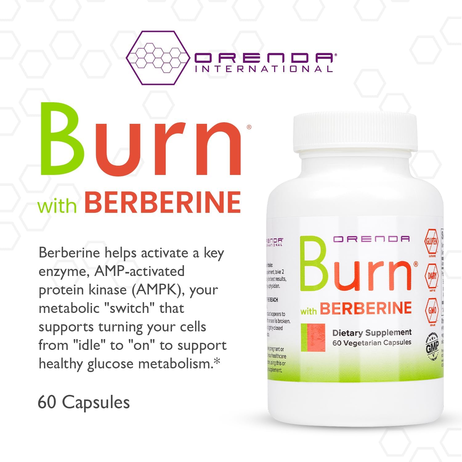 Orenda Burn Supplement - Berberine HCI, Green Coffee Extract, African Mango - Cardiovascular Support - 60 Capsules