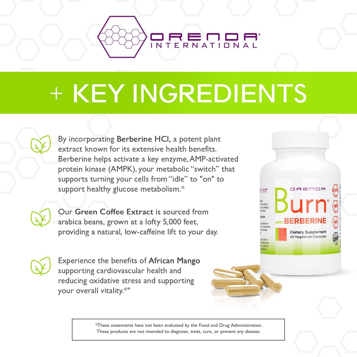 Orenda Burn Supplement - Berberine HCI, Green Coffee Extract, African Mango - Cardiovascular Support - 60 Capsules
