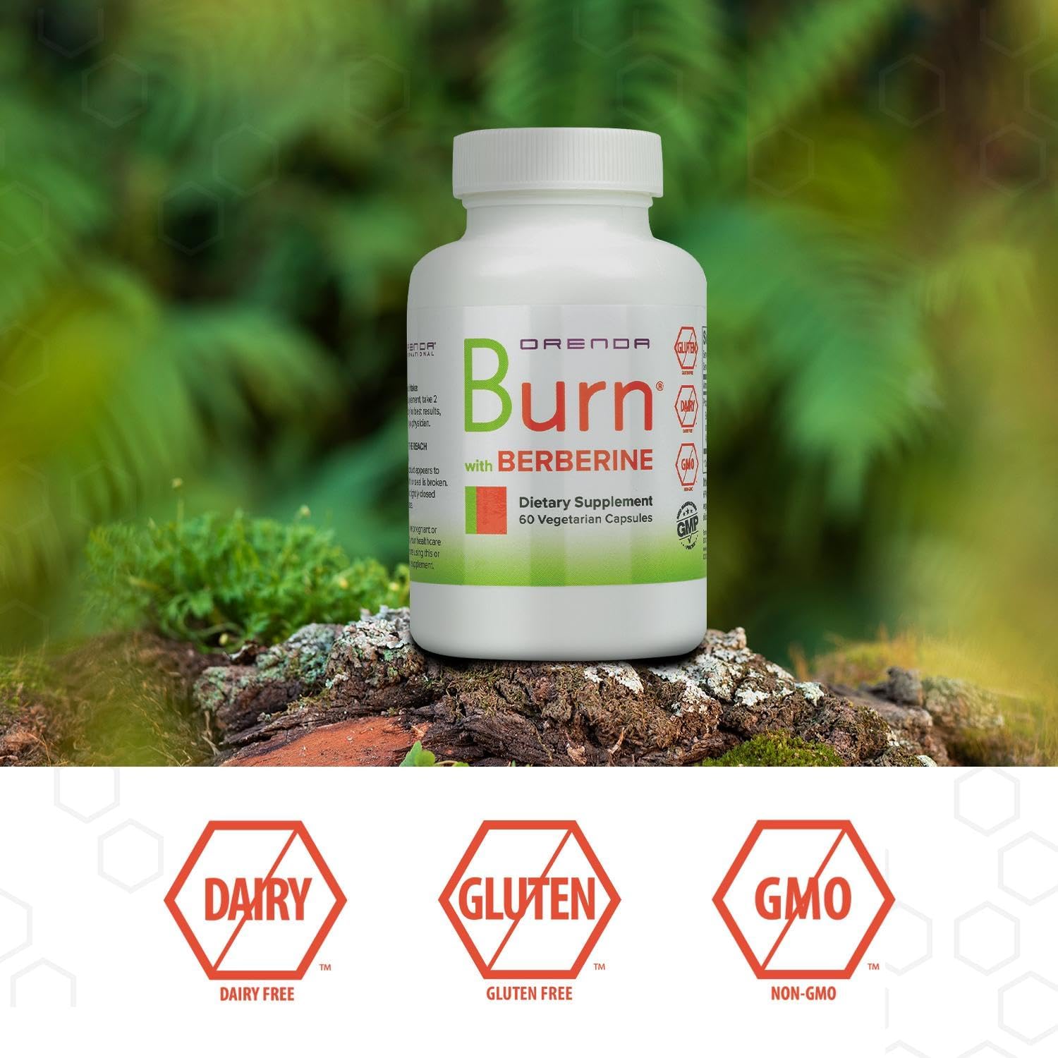 Orenda Burn Supplement - Berberine HCI, Green Coffee Extract, African Mango - Cardiovascular Support - 60 Capsules
