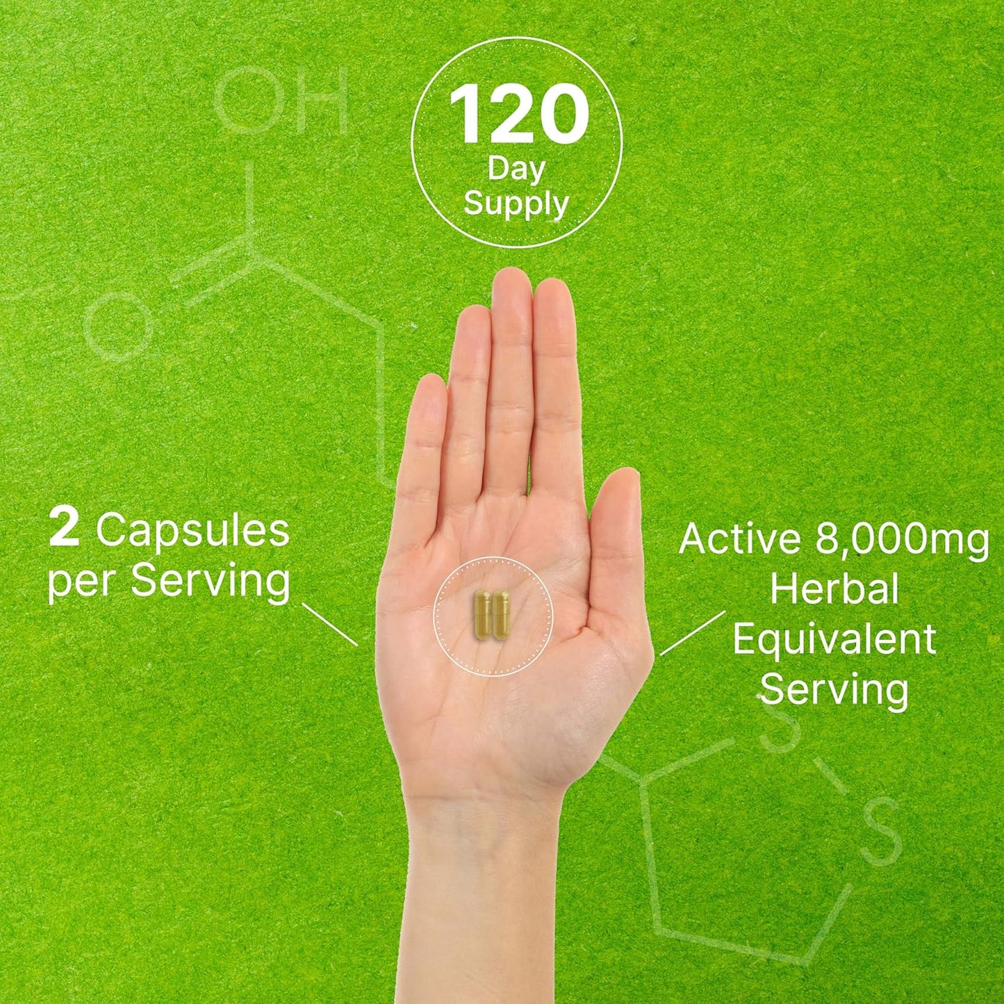 Organic 10-in-1 Mushroom Supplement 8,000mg Per Serving - 240 Capsules - Immune, Energy, Brain Support - Non-GMO