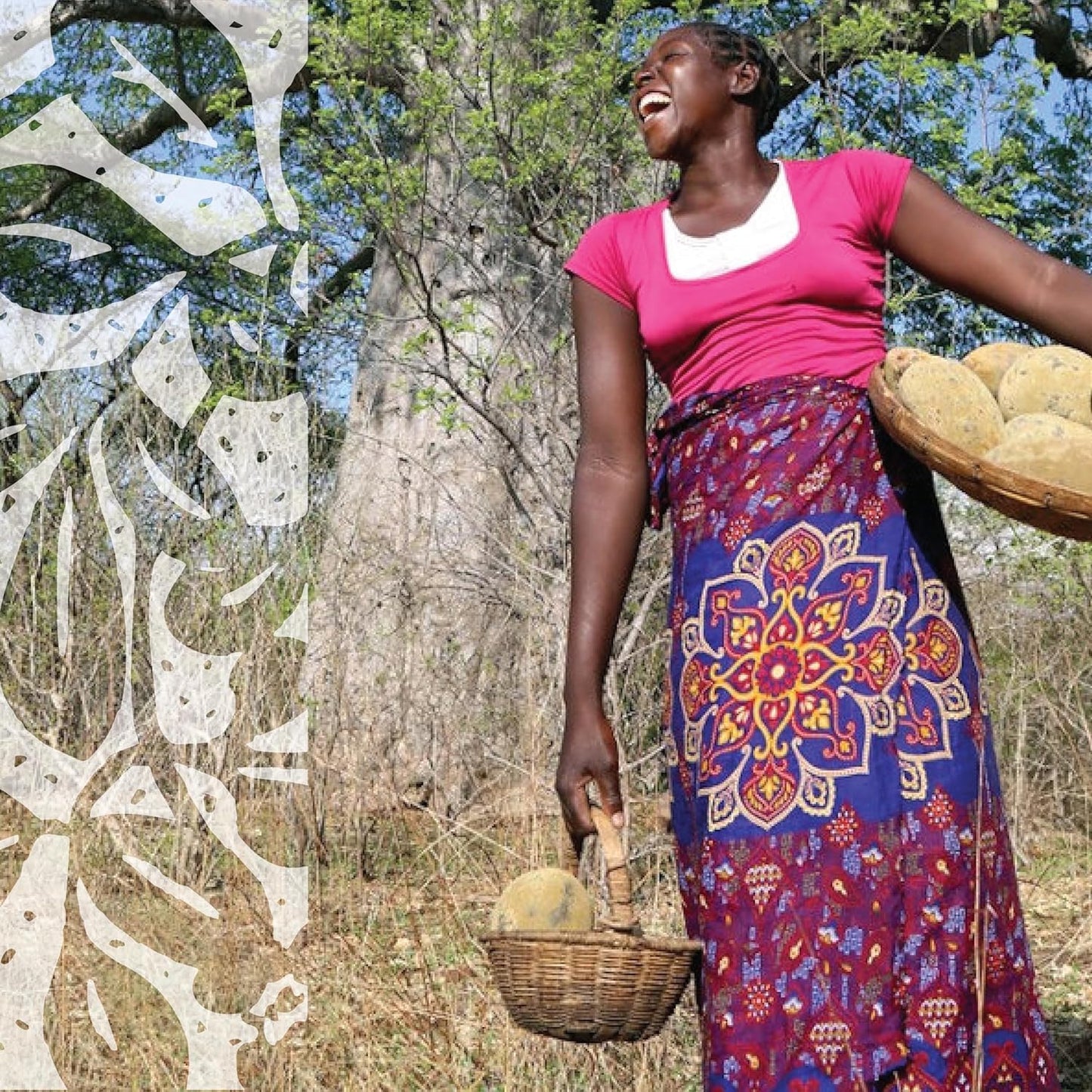 Organic 100% Baobab and Moringa Powder Superblend 300g | From South Africa | Supports Gut Health & Digestion | USDA Certified