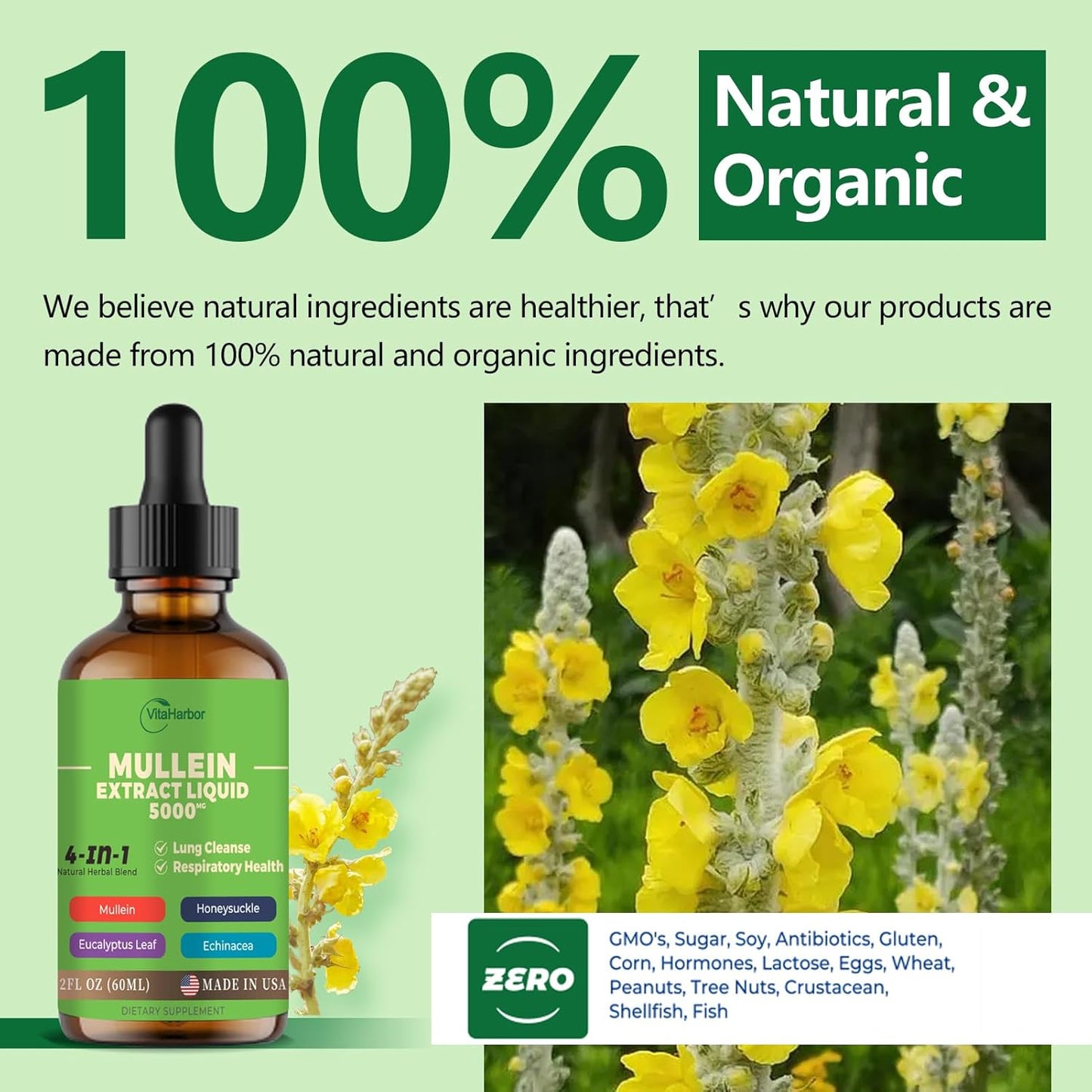 Organic 4-in-1 Mullein Drops for Lung Cleanse and Immune Support - 2 Fl oz Vegan Formula
