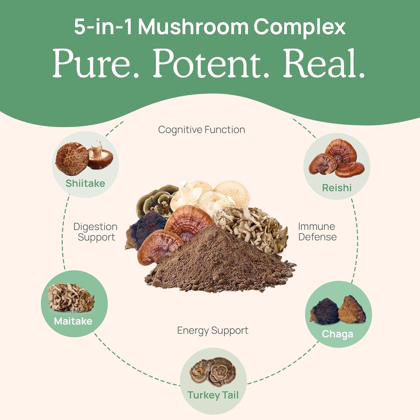 Organic 5 Defenders Mushroom Powder Extract with Chaga, Shiitake, Maitake, Turkey Tail, Reishi - Vegan, Non-GMO, 45 Servings