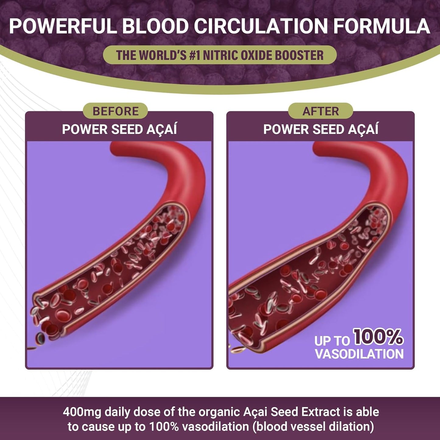 Organic Acai Seed Extract Supplement for Improved Blood Flow and Circulation- Patented Nitric Oxide Formula- 60 Capsules- High Antioxidant Content