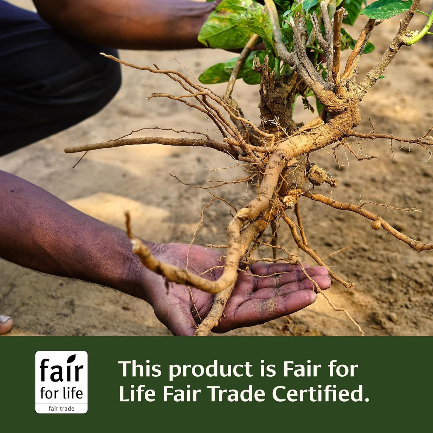 Organic Adaptogen Supplement for Adrenal Support - Natural Energy Boost with Ashwagandha, Gokshura & Guduchi - 90 Tablets, Non-GMO, Vegan