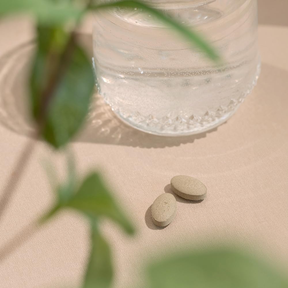 Organic Adaptogen Supplement for Adrenal Support - Natural Energy Boost with Ashwagandha, Gokshura & Guduchi - 90 Tablets, Non-GMO, Vegan