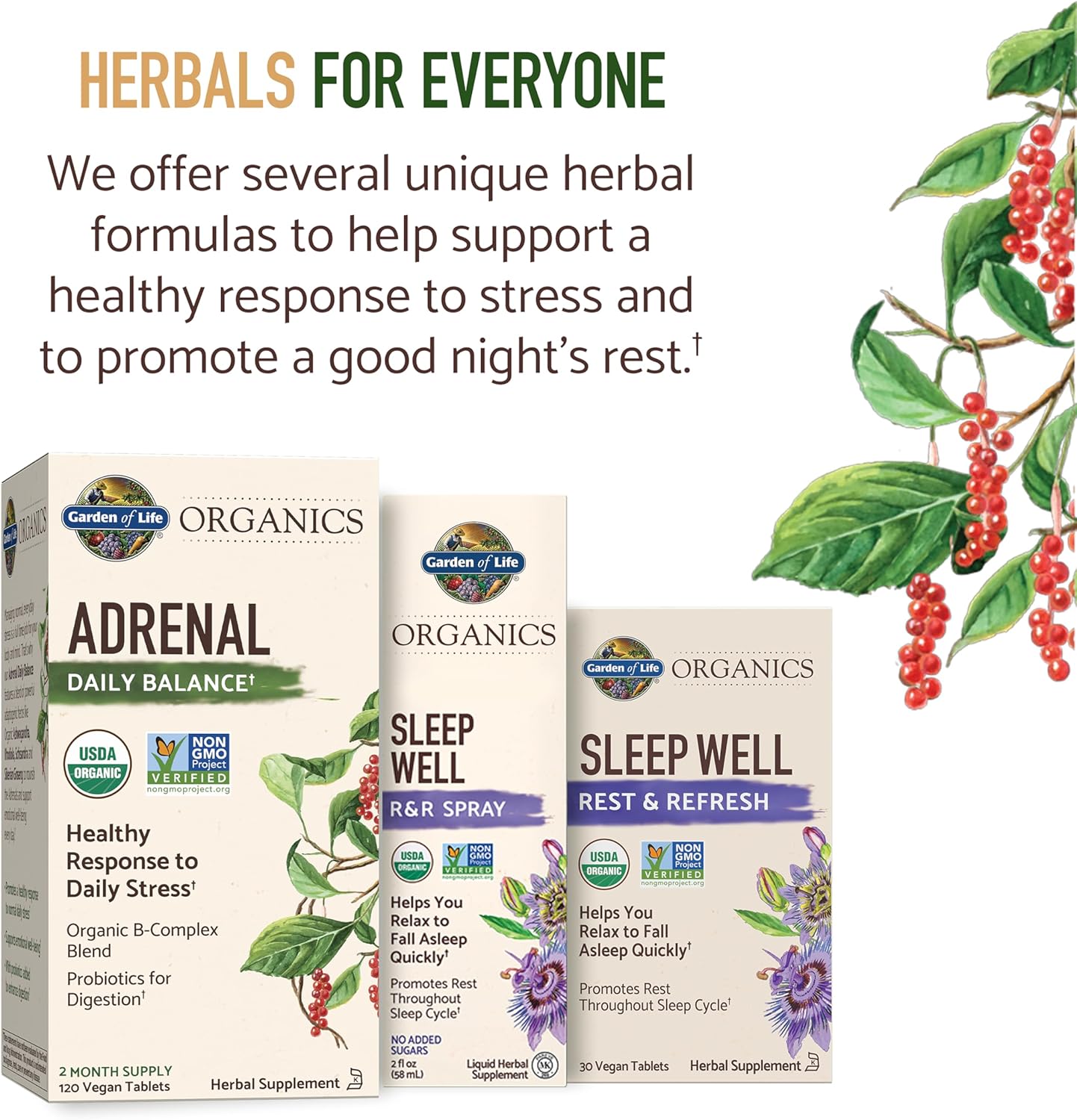 Organic Adrenal Daily Balance Supplement with Adaptogenic Herbs, B Complex, Probiotics - 120 Tablets, Non-GMO & Vegan