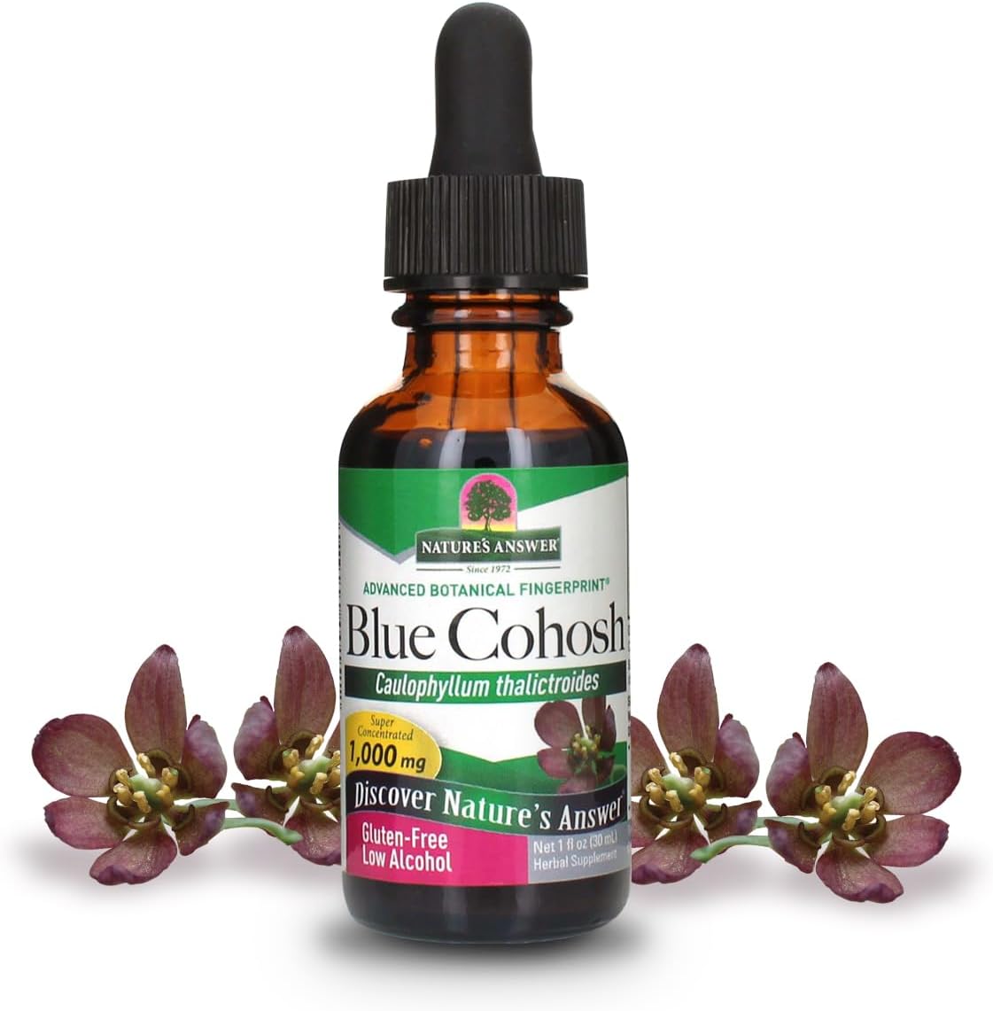 Organic Alcohol Blue Cohosh Root Tincture for Women's Health - 1oz | Menopausal Aid and Childbirth Support | Hot Flash Relief