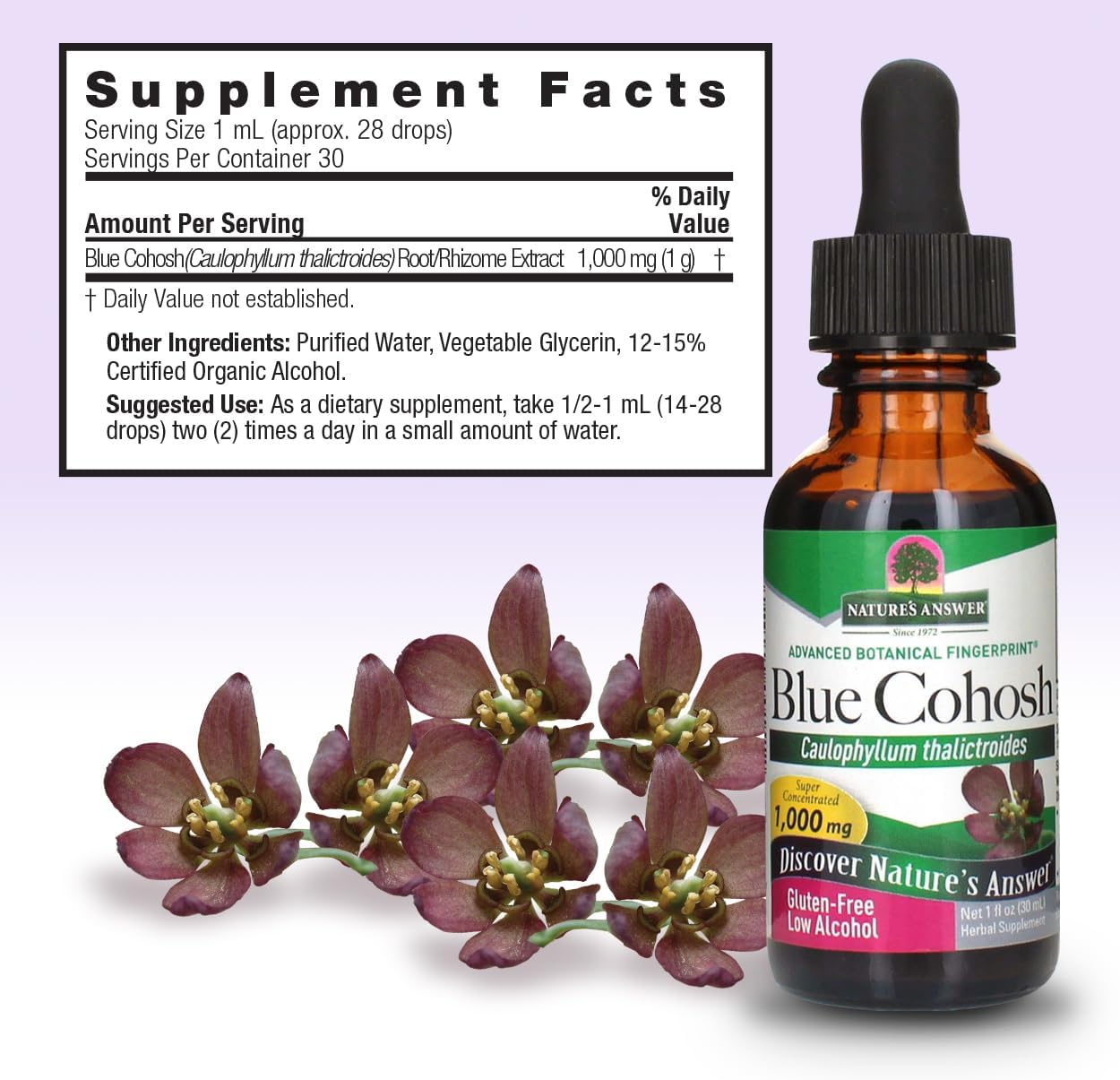 Organic Alcohol Blue Cohosh Root Tincture for Women's Health - 1oz | Menopausal Aid and Childbirth Support | Hot Flash Relief