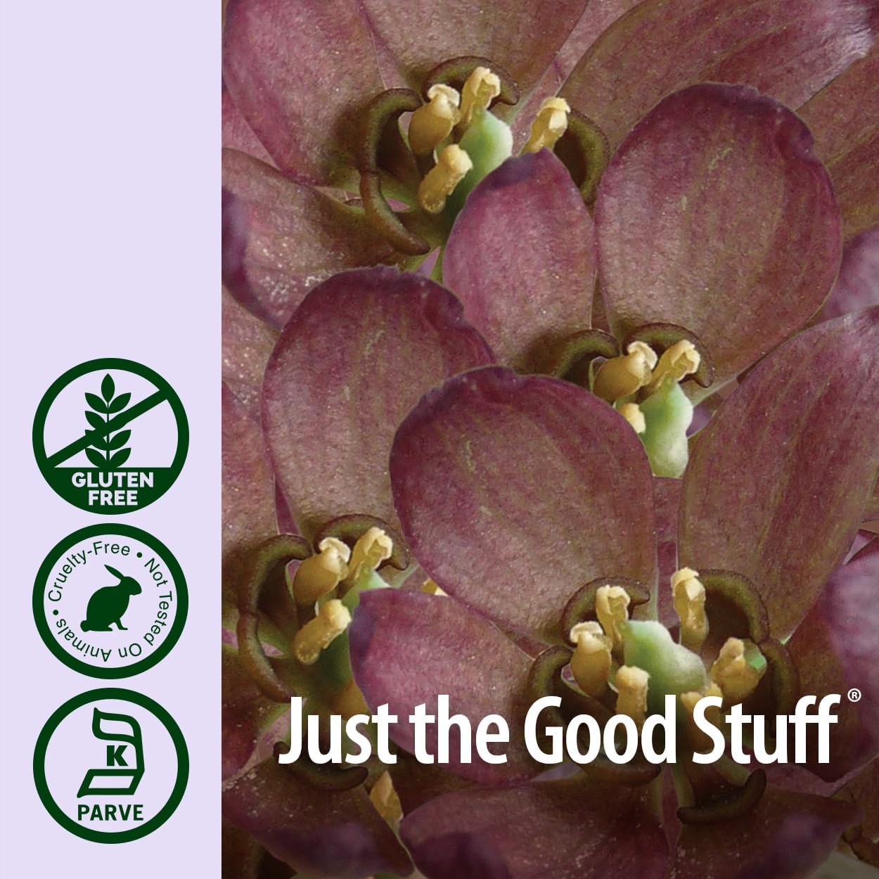 Organic Alcohol Blue Cohosh Root Tincture for Women's Health - 1oz | Menopausal Aid and Childbirth Support | Hot Flash Relief