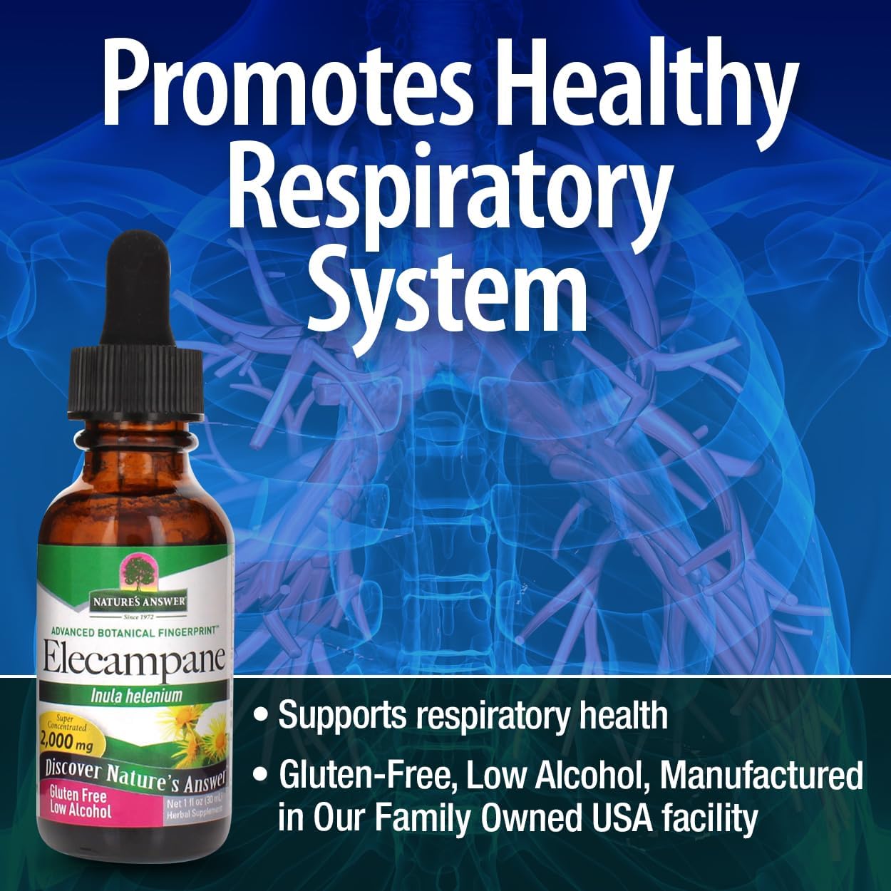 Organic Alcohol-Free Elecampane Root Herbal Supplement 2000mg - Non GMO & Kosher - Vegan - 2oz