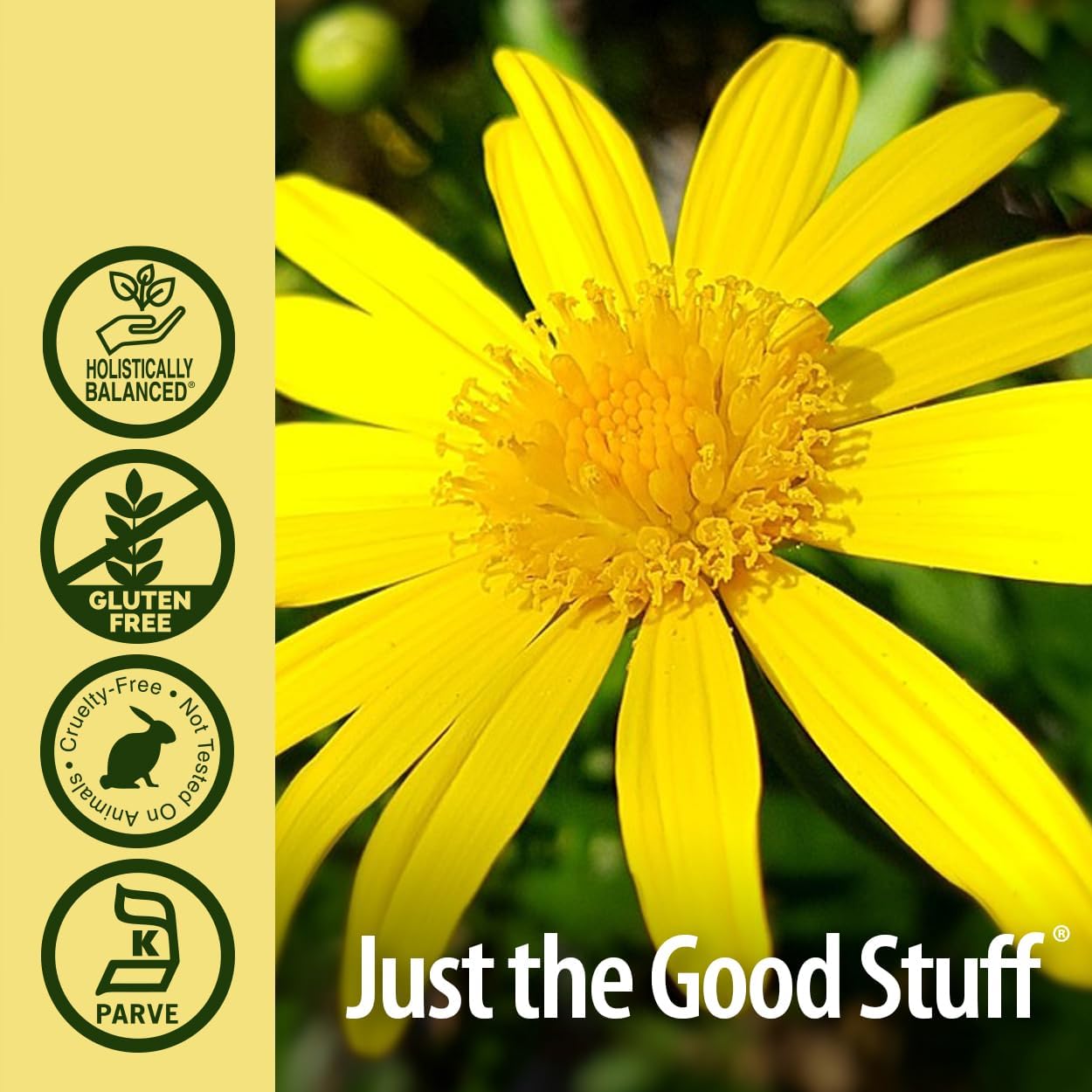Organic Alcohol-Free Elecampane Root Herbal Supplement 2000mg - Non GMO & Kosher - Vegan - 2oz