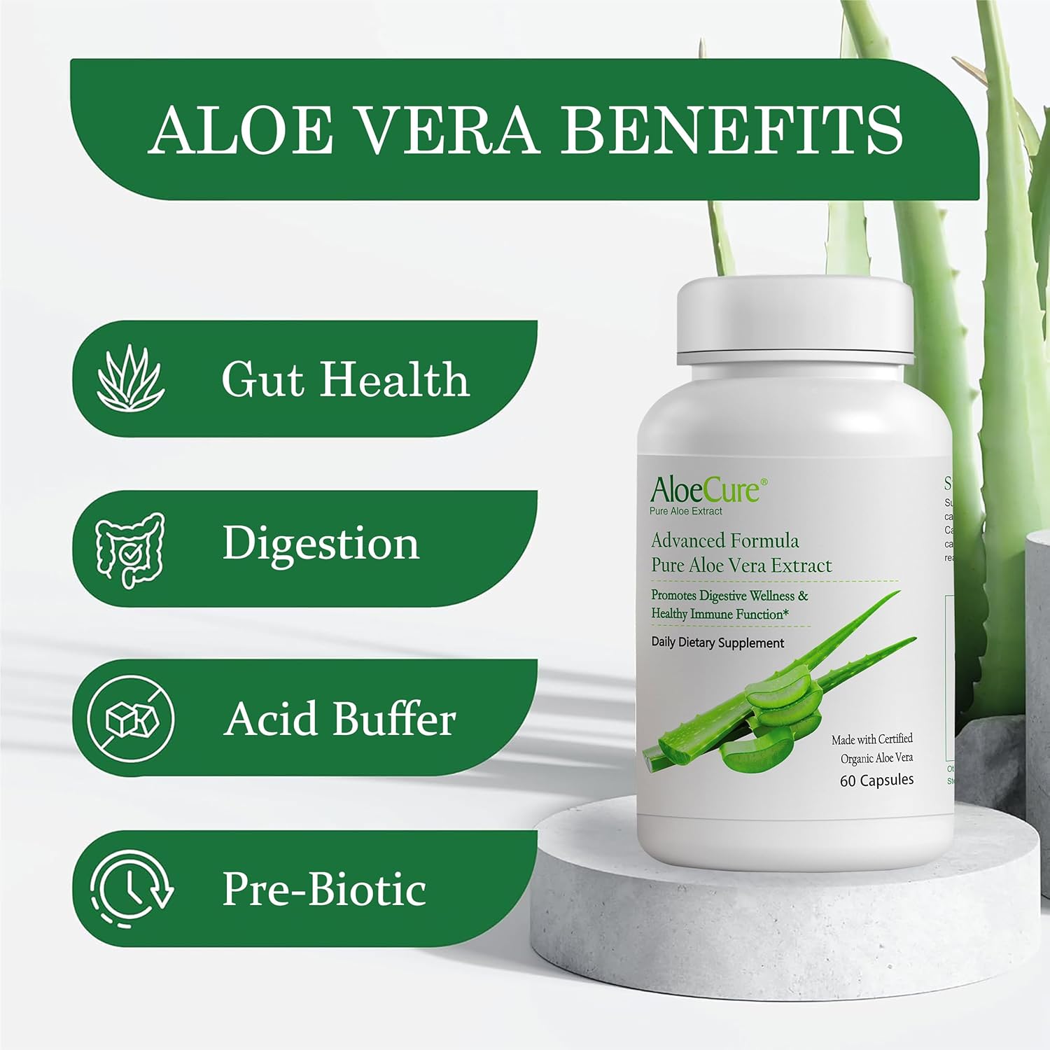 Organic Aloe Vera Capsules Pack - 3 Pieces with VeraFlex, Probiotics, and Enzymes