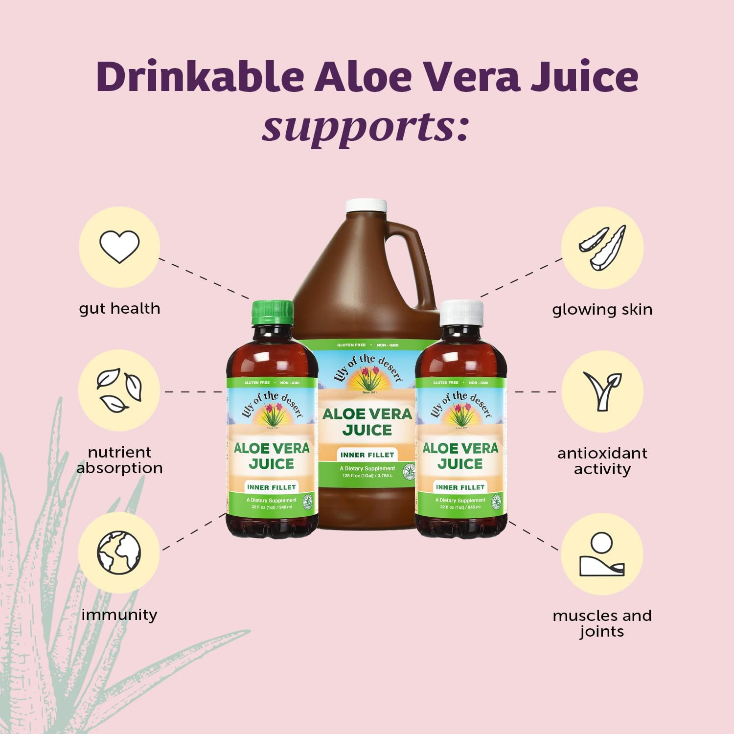 Organic Aloe Vera Juice - Inner Fillet Aloe Drink for Gut Health, Stomach Relief, Wellness, Glowing Skin - 128 Fl Oz